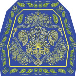 "Paisley Blaze: Bandana Vibes"