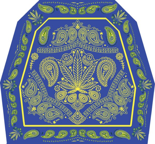 "Paisley Blaze: Bandana Vibes"